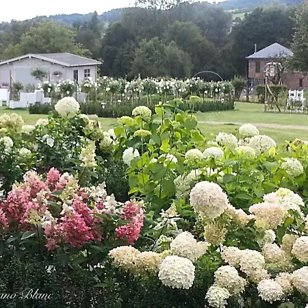 Villa Luxurious In With Garden
